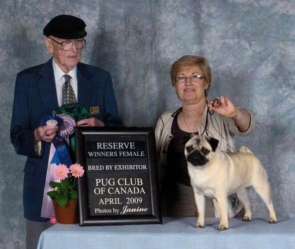 Jimary pugs hot sale